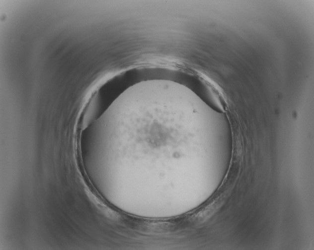 X0000083661471200703051739