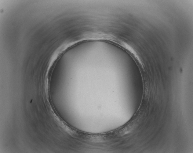 X0000083661472200703051739