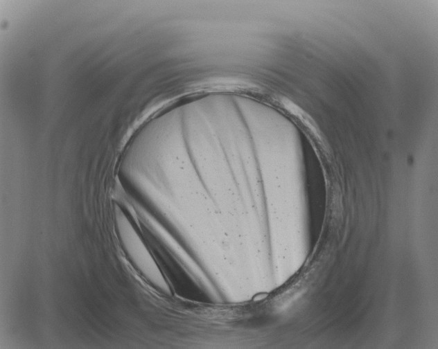 X0000083661473200703051739