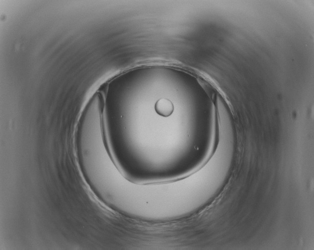 X0000083661474200703051739