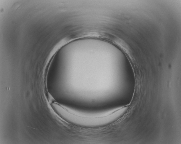 X0000083661475200703051739