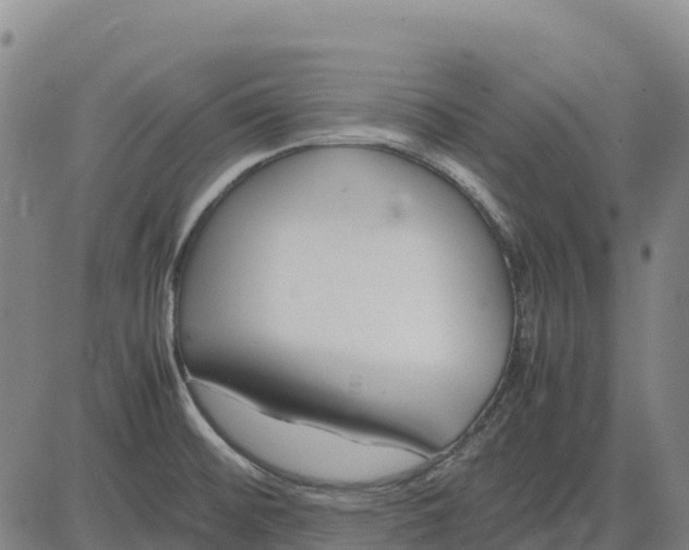 X0000083661476200703051739