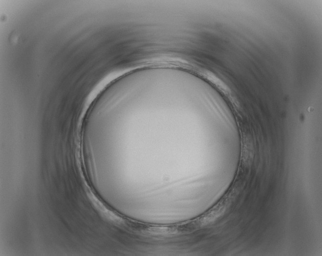 X0000083661478200703051739