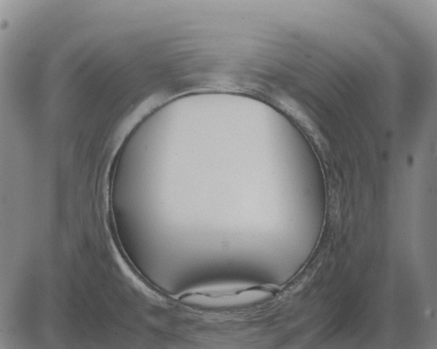 X0000083661479200703051739