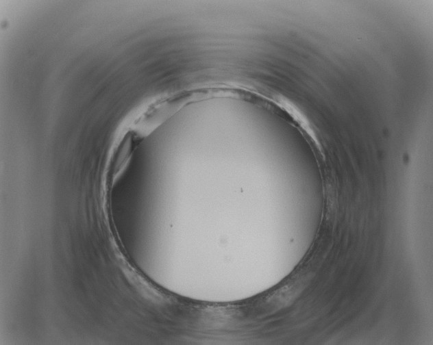 X0000083661480200703051739