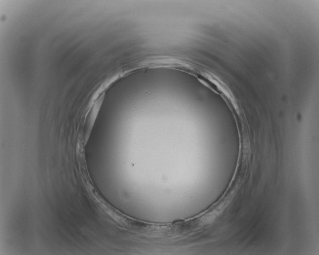 X0000083661481200703051739