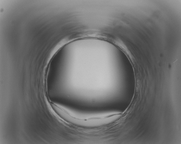 X0000083661483200703051739