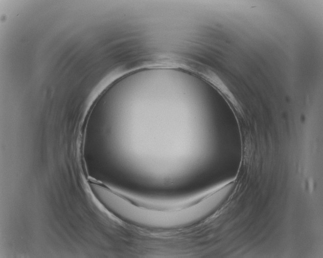 X0000083661484200703051739