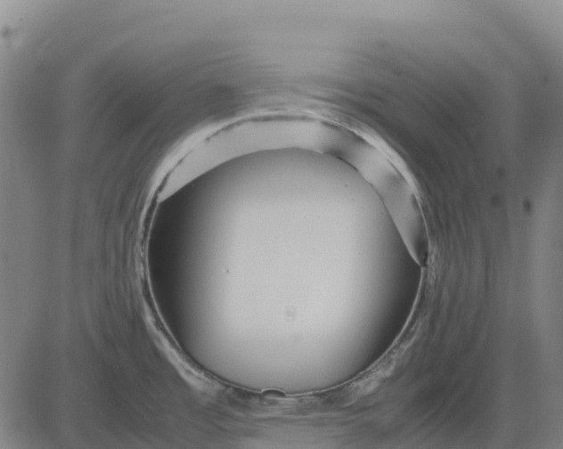 X0000083661485200703051739