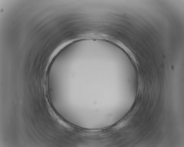 X0000083661486200703051739