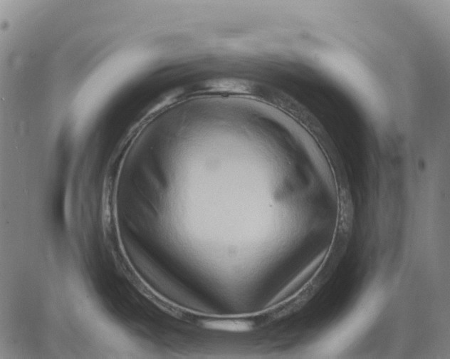 X0000083661487200703051739