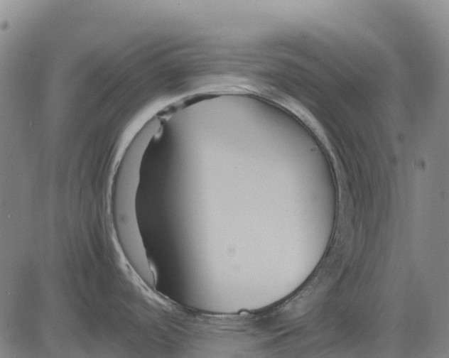 X0000083661488200703051739