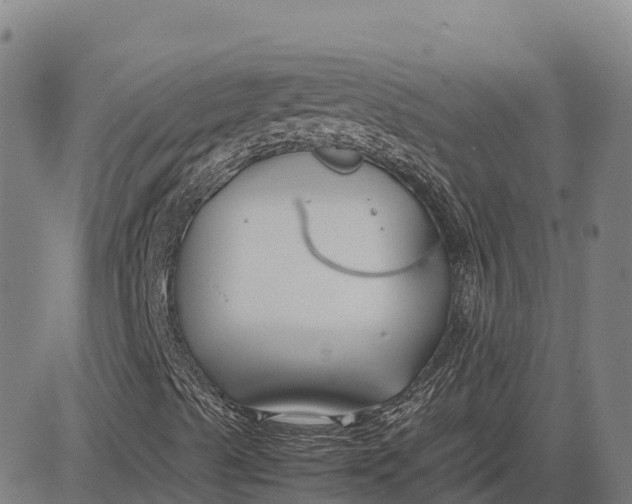 X0000083661489200703051738