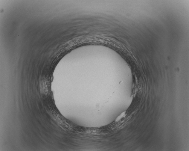 X0000083661490200703051738