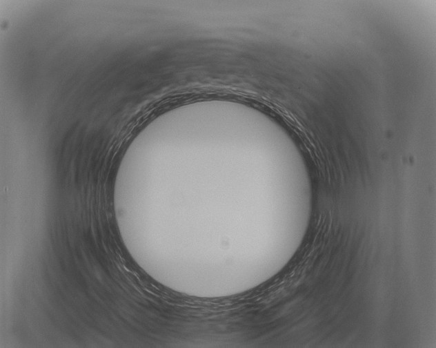 X0000083661492200703051738