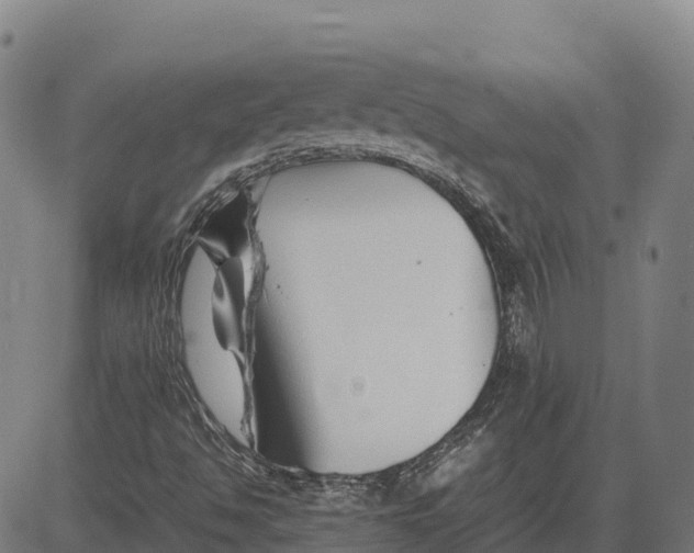 X0000083661494200703051738