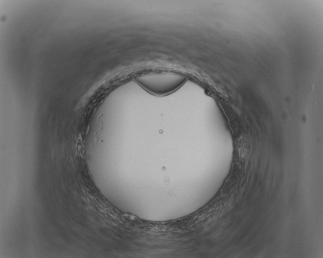 X0000083661495200703051738