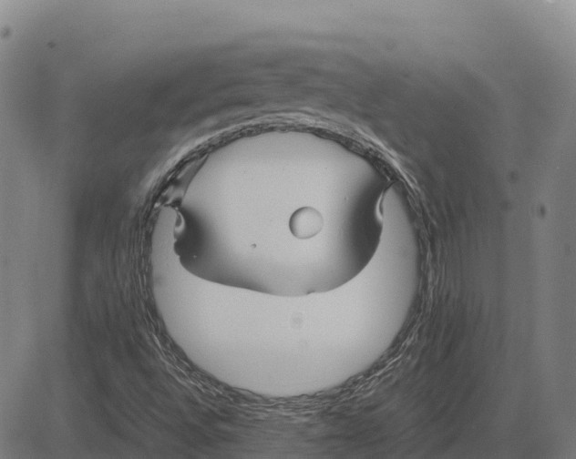 X0000083661496200703051738