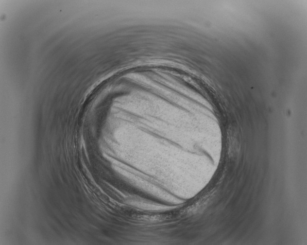 X0000083661497200703051738