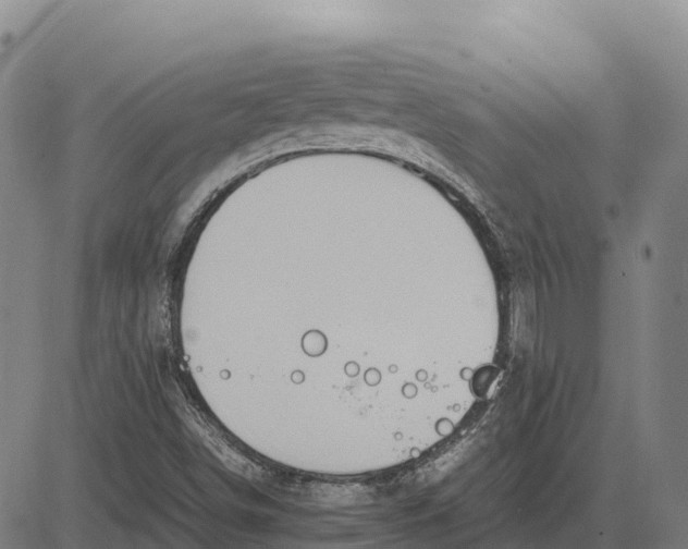 X0000083661498200703051738