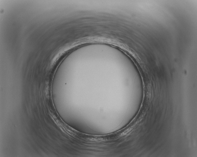 X0000083661499200703051738