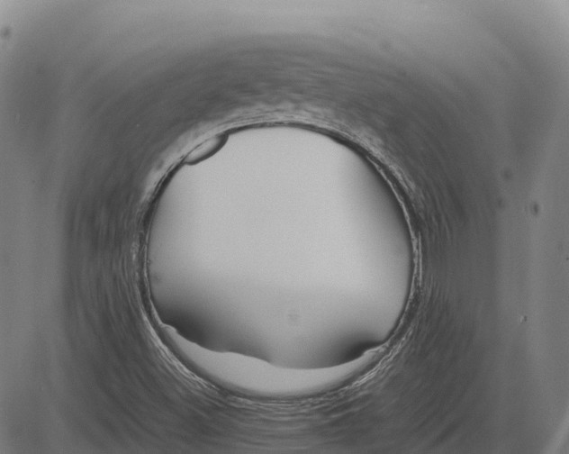 X0000083661500200703051738