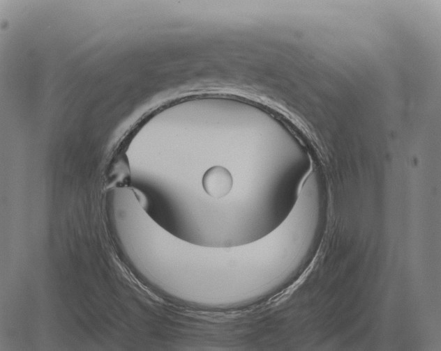 X0000083661502200703051738