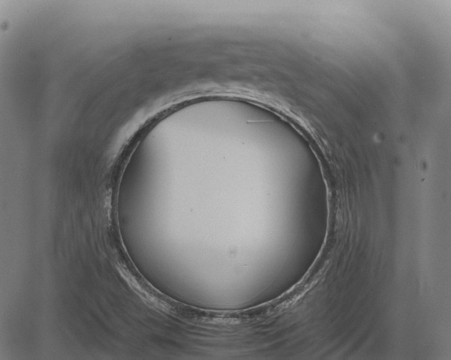 X0000083661503200703051738