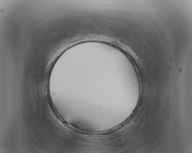 X0000083661504200703051738