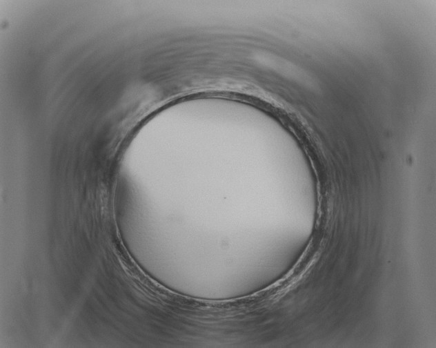 X0000083661505200703051738