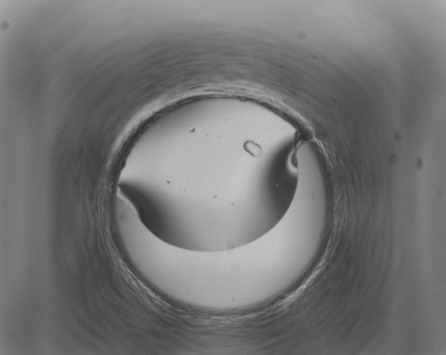 X0000083661506200703051738