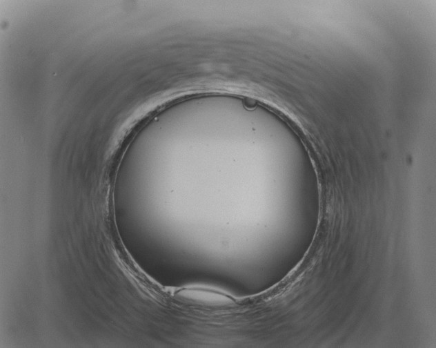 X0000083661507200703051738