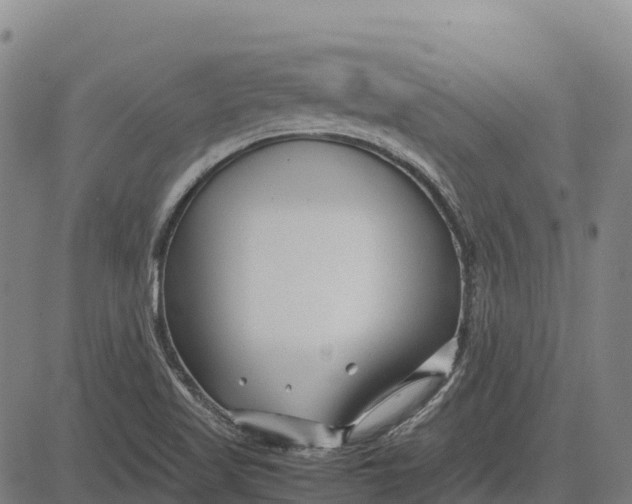 X0000083661509200703051738