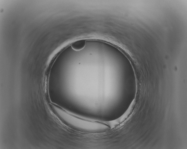 X0000083661510200703051738