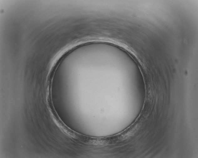 X0000083661511200703051738