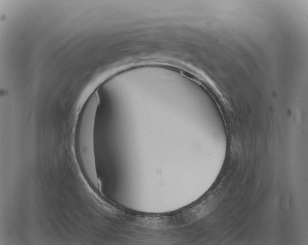 X0000083661512200703051738