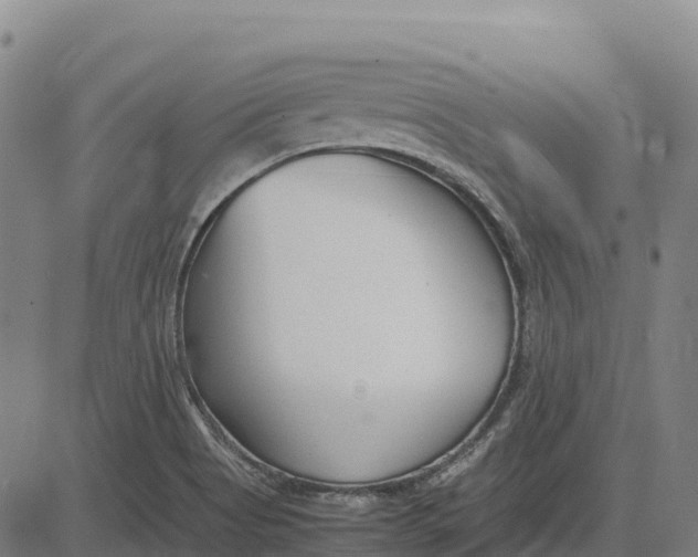 X0000083661513200703051738