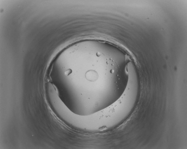 X0000083661514200703051738