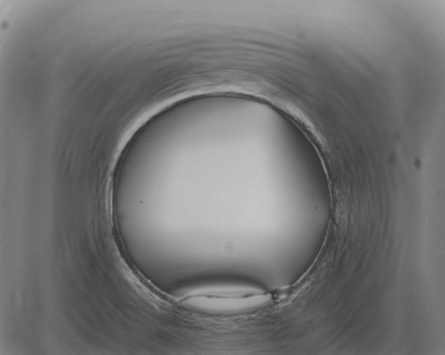 X0000083661516200703051739