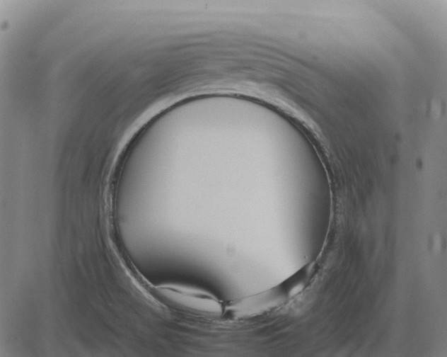 X0000083661517200703051739