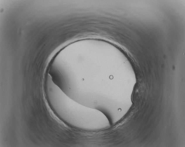 X0000083661518200703051739