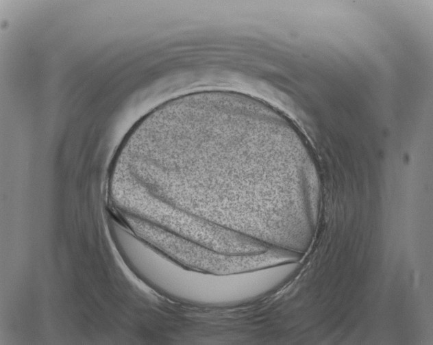 X0000083661519200703051739