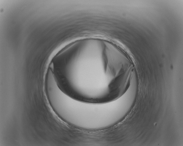 X0000083661520200703051739