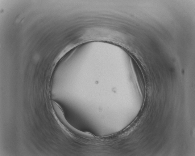 X0000083661521200703051739