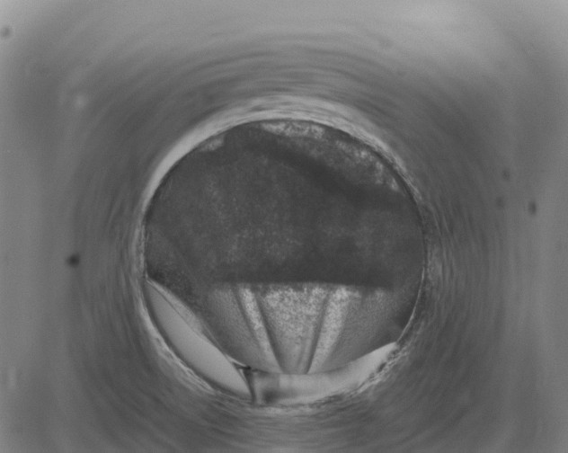 X0000083661522200703051739