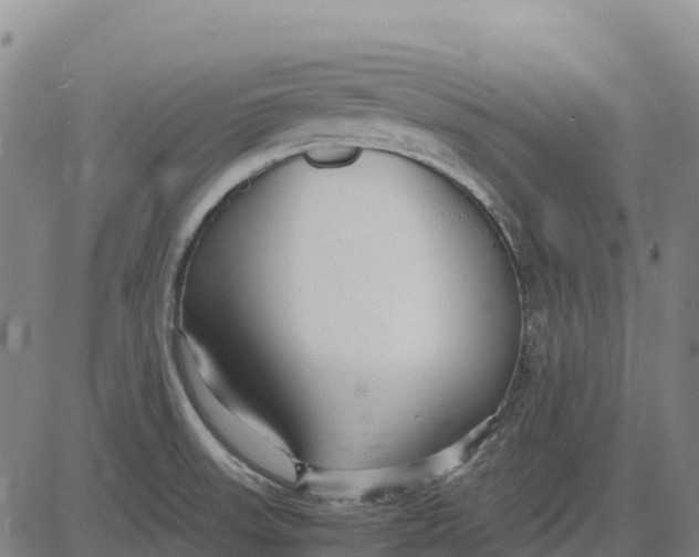 X0000083661523200703051739