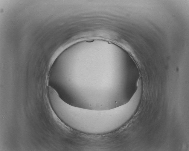 X0000083661524200703051739