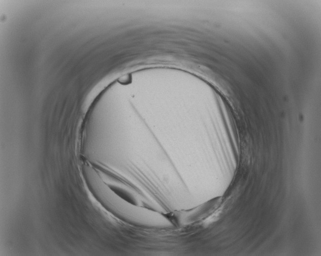 X0000083661527200703051739