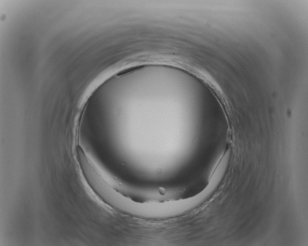 X0000083661528200703051739