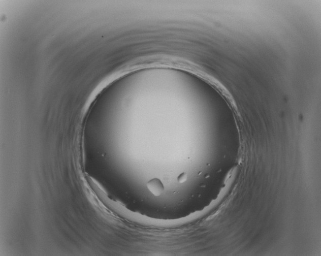 X0000083661530200703051739